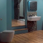bathroom in blue and brown-beige tile